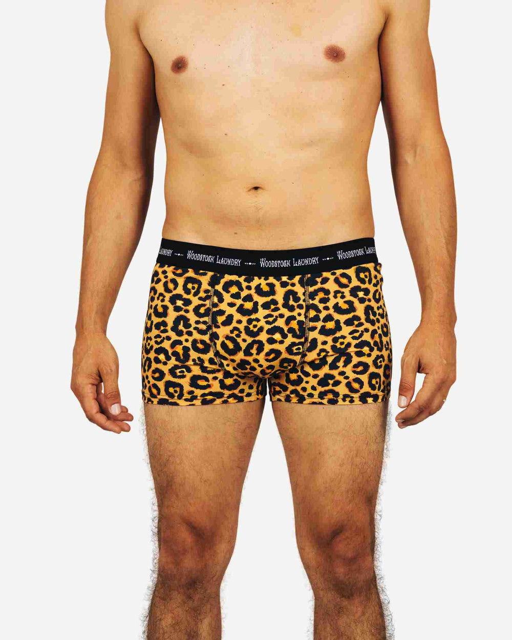 Leopard Print Boxer Briefs