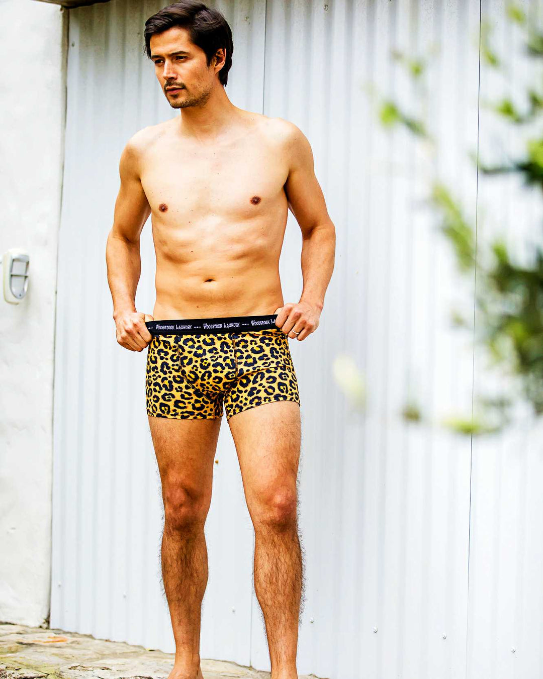 Mens boxer briefs leopard skin