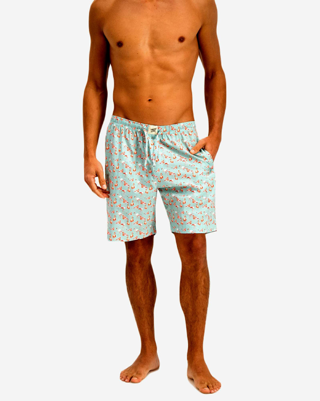 Mens lounge shorts with flamingos on a blue background