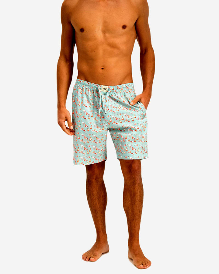 Mens lounge shorts with flamingos on a blue background