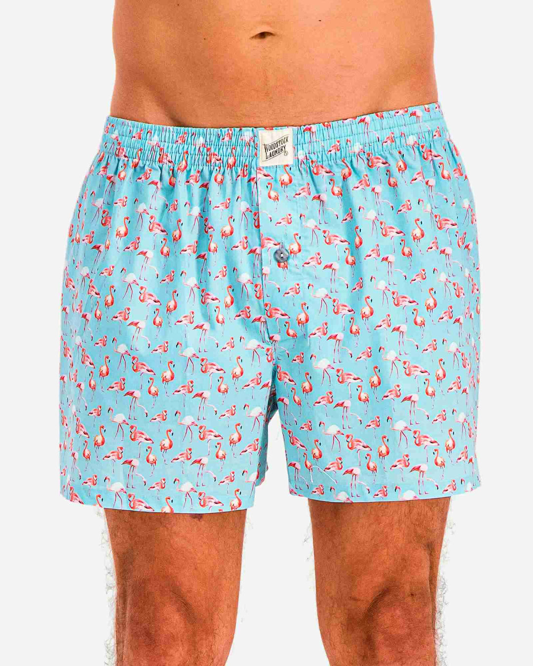 Mens boxer shorts - Light blue flamingos