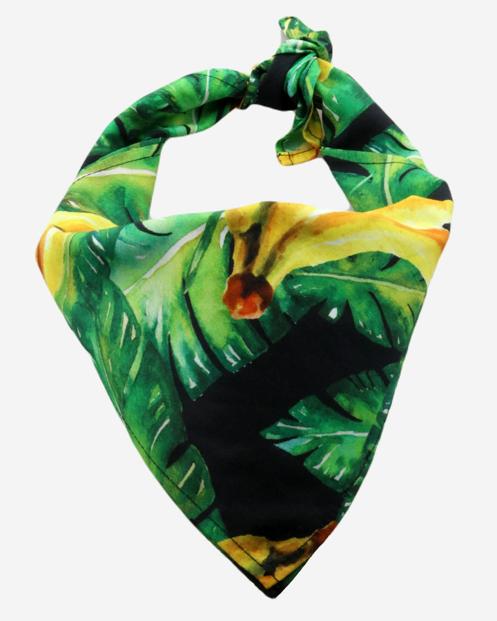 Green bandana with bananas on leaves