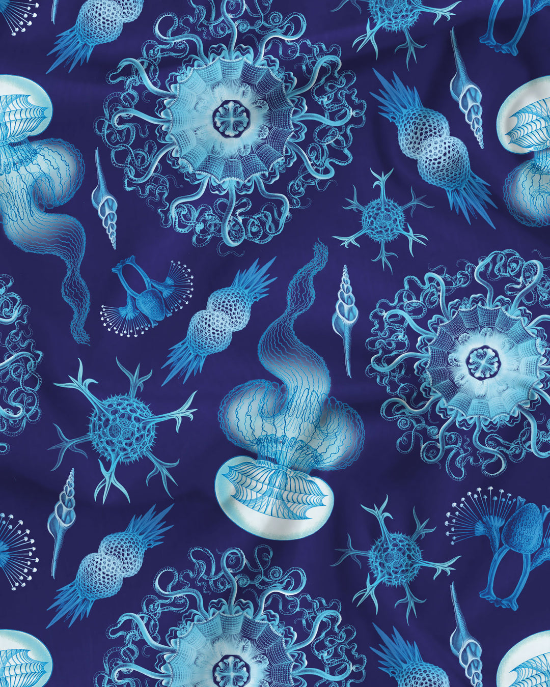 Blue marine haeckel print fabric