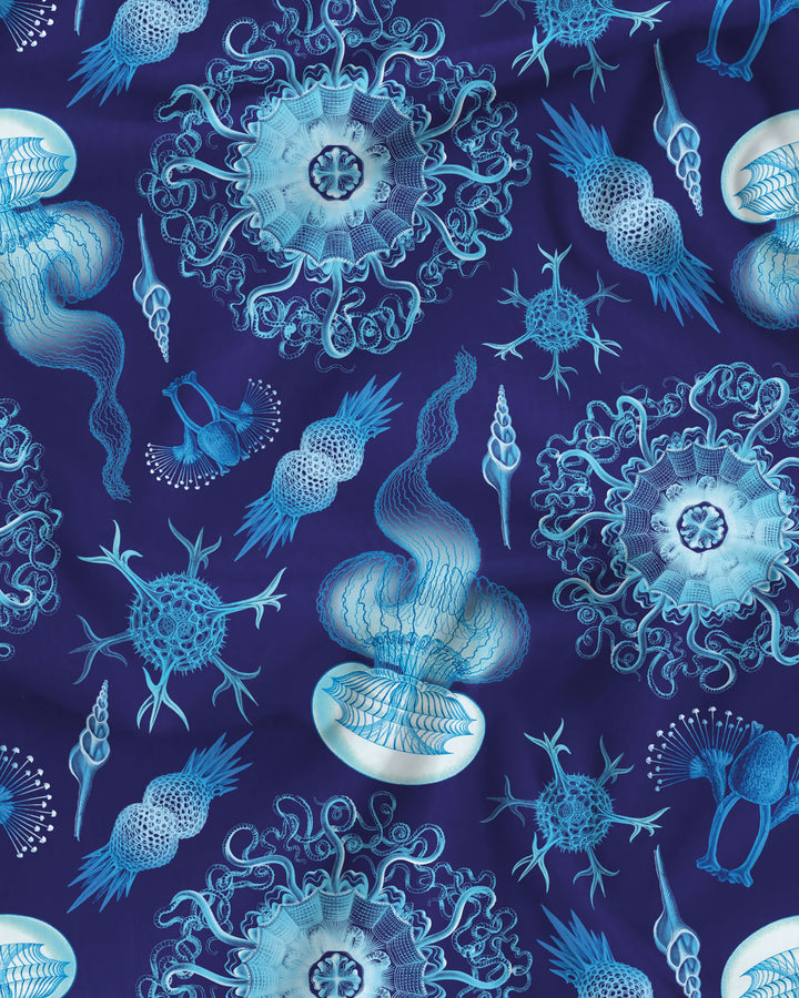 Blue marine haeckel print fabric