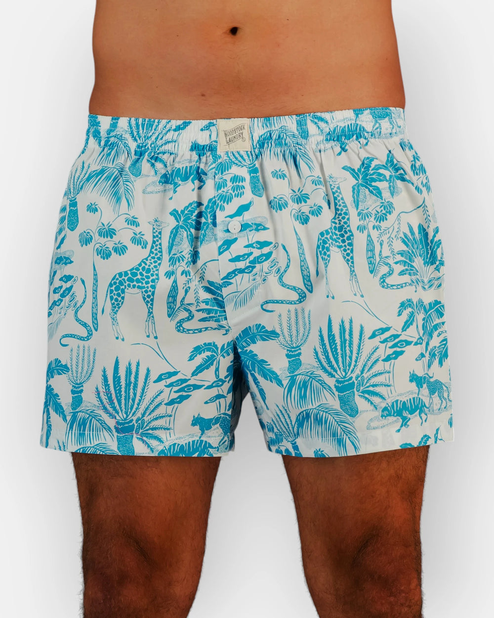 Blue and white boxer shorts with safari patterns