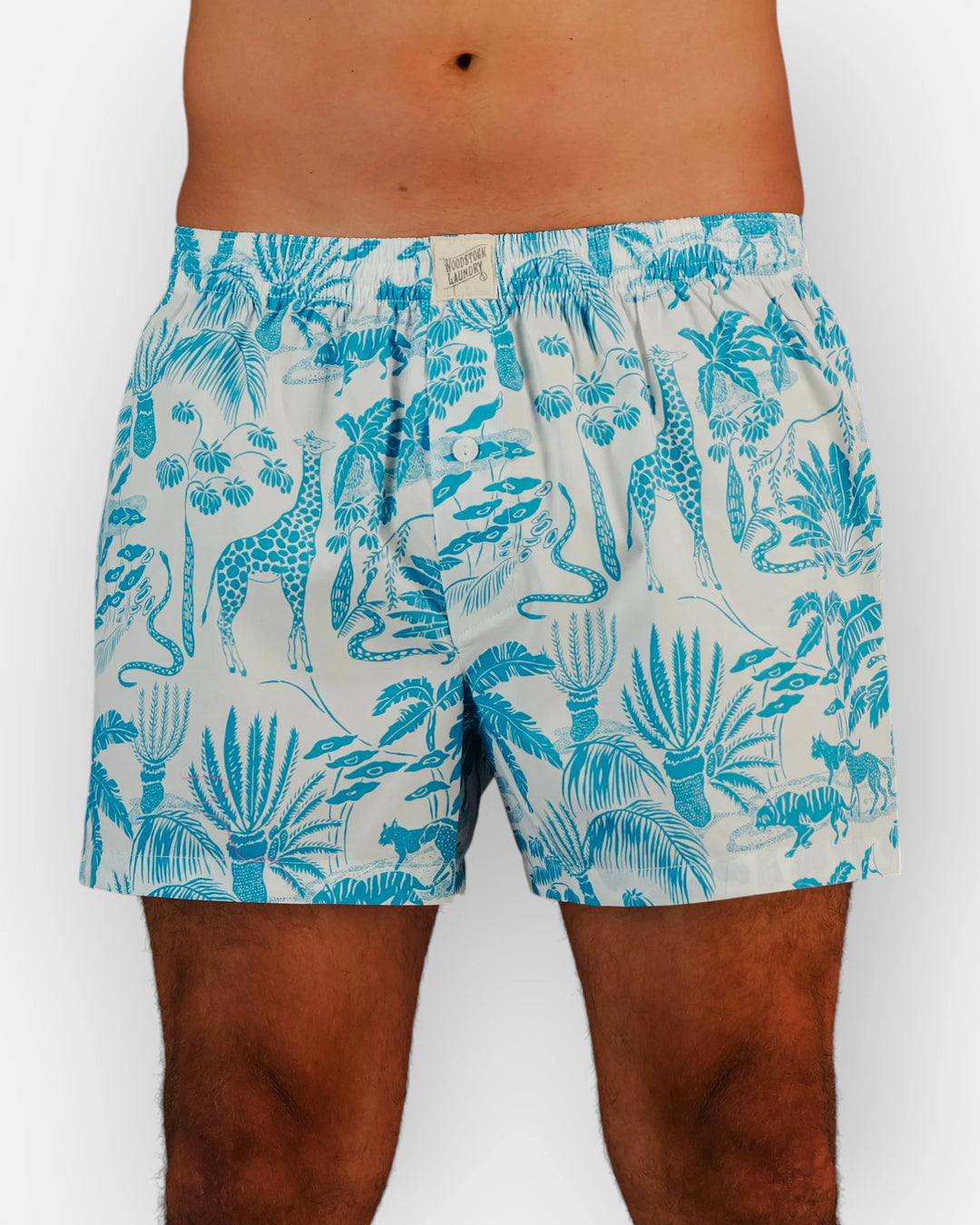 Blue and white boxer shorts with safari patterns