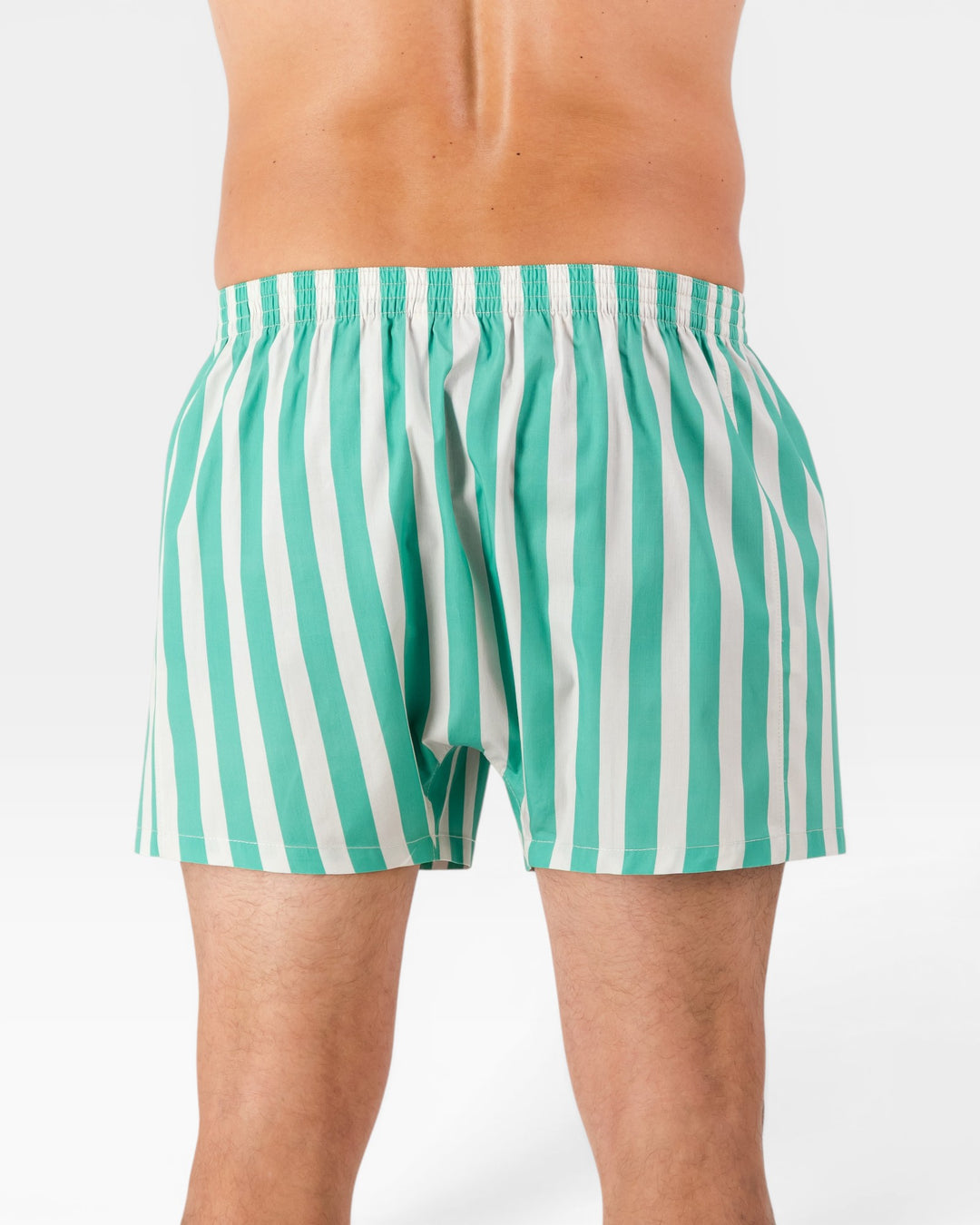 Back view of mens beige and green striped boxer shorts