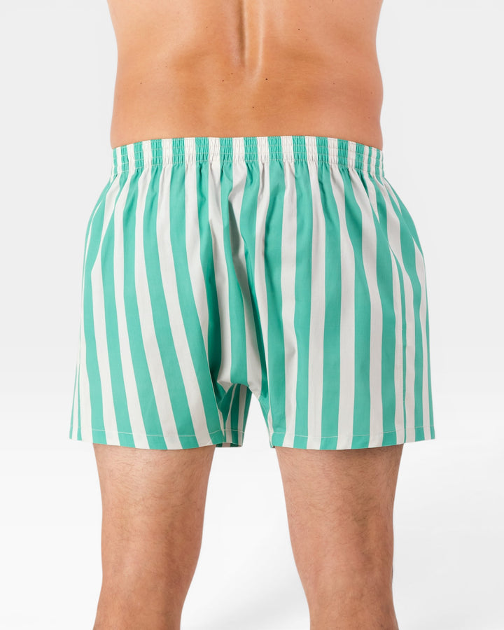 Back view of mens beige and green striped boxer shorts