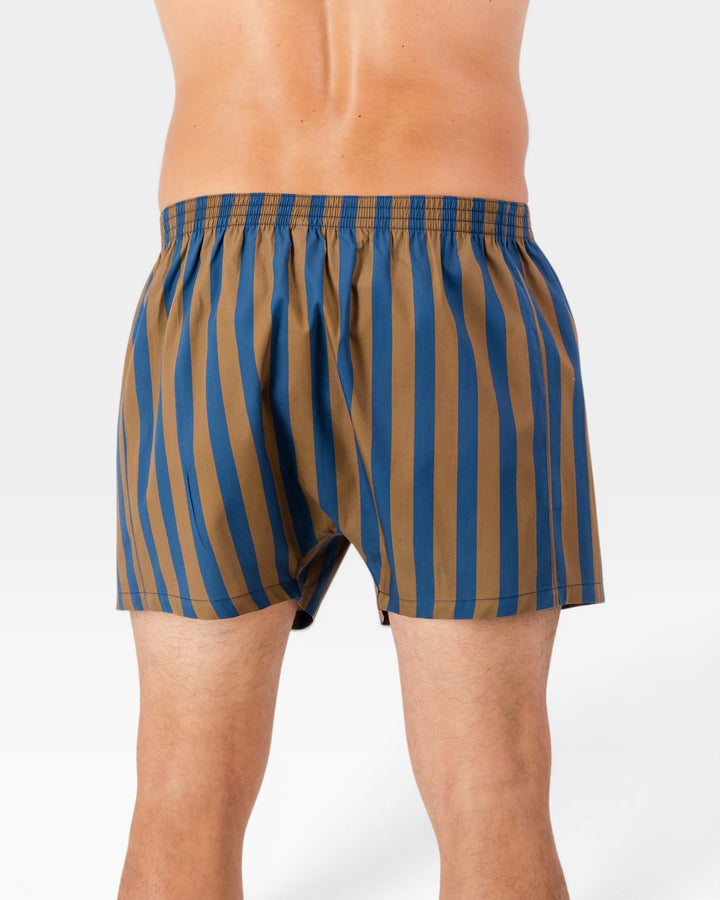 Back view of mens blue and brown striped boxer shorts