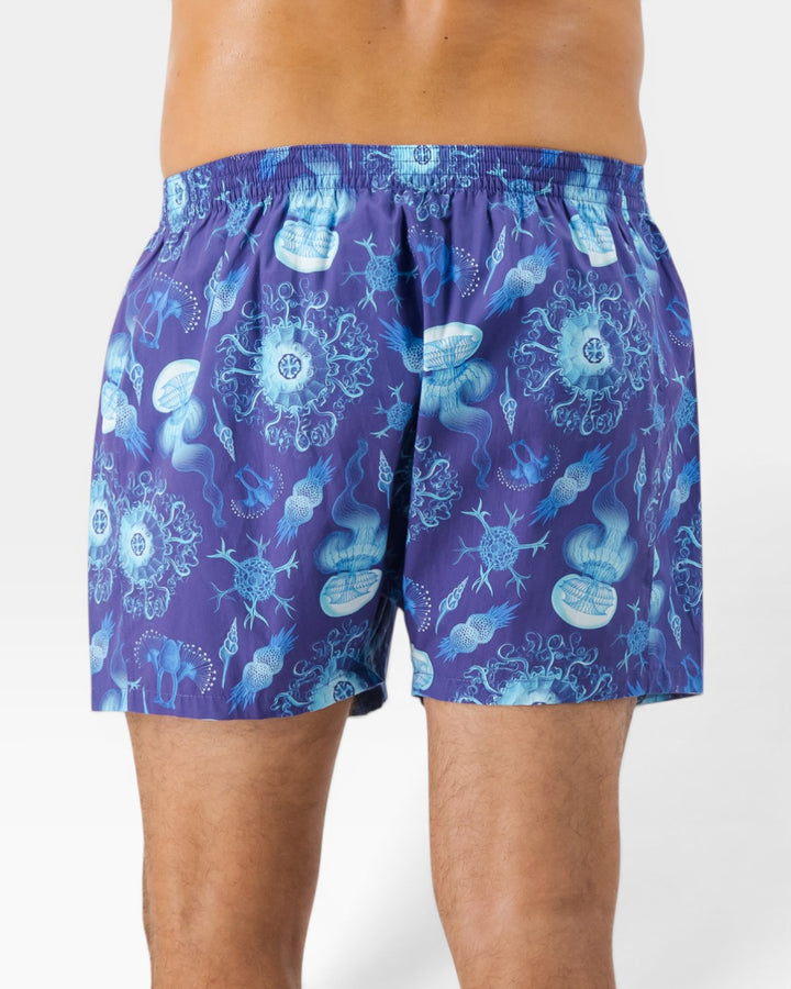 Back view of mens boxer shorts with a blue marine-inspired print