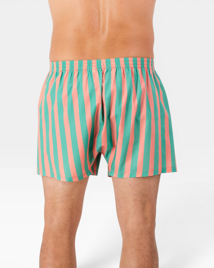Back view of mens pink and green striped boxer shorts