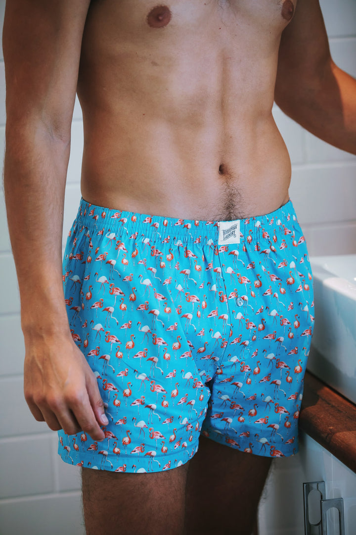 Flamingo boxers